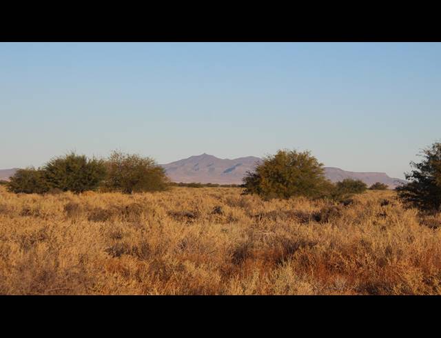 179HA FARM FOR SALE IN CALVINIA RURAL